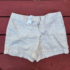 Loft Shorts